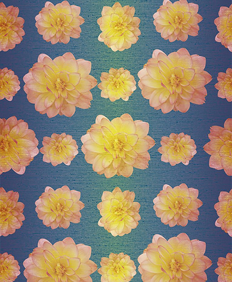 August - Image 4