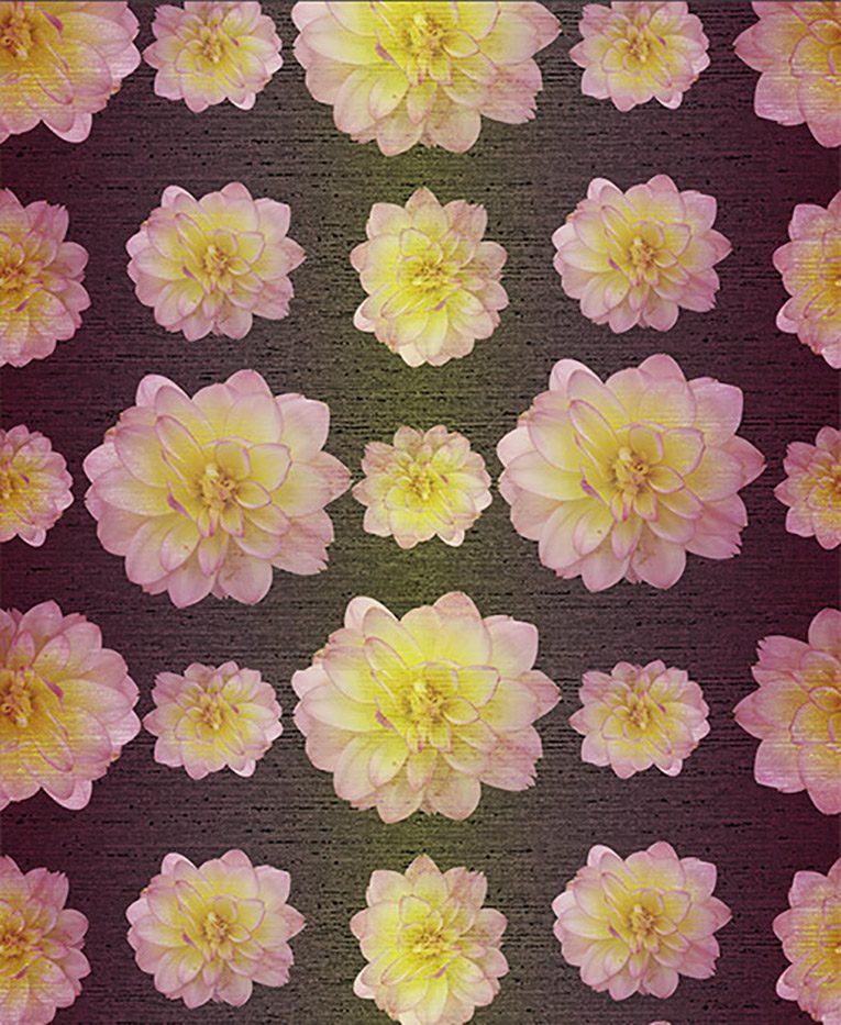 August - Image 2