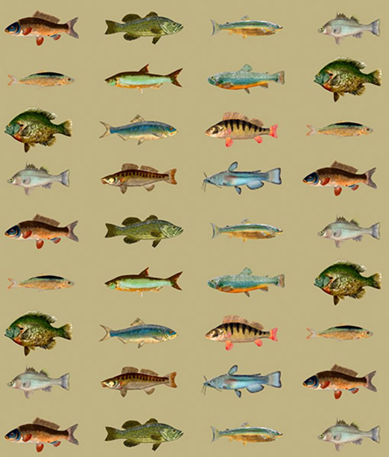 Shoal - Image 2