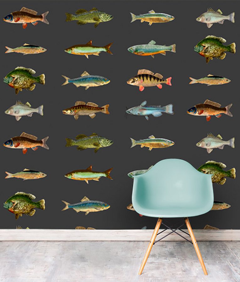 Shoal