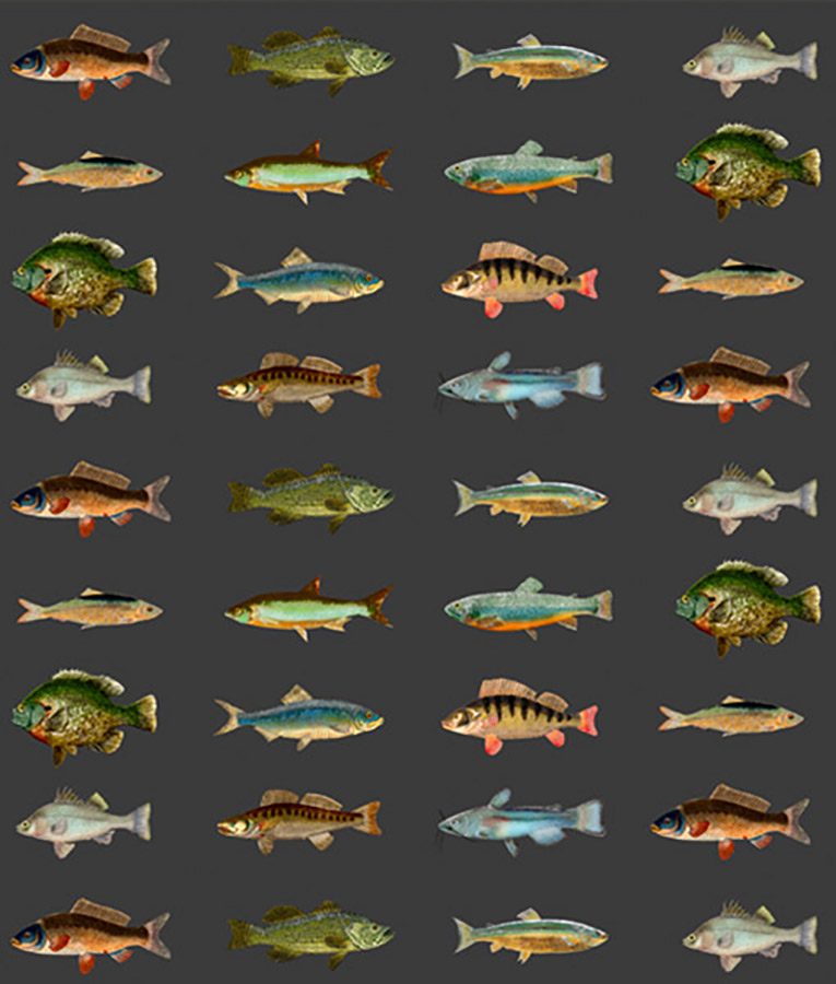 Shoal - Image 3