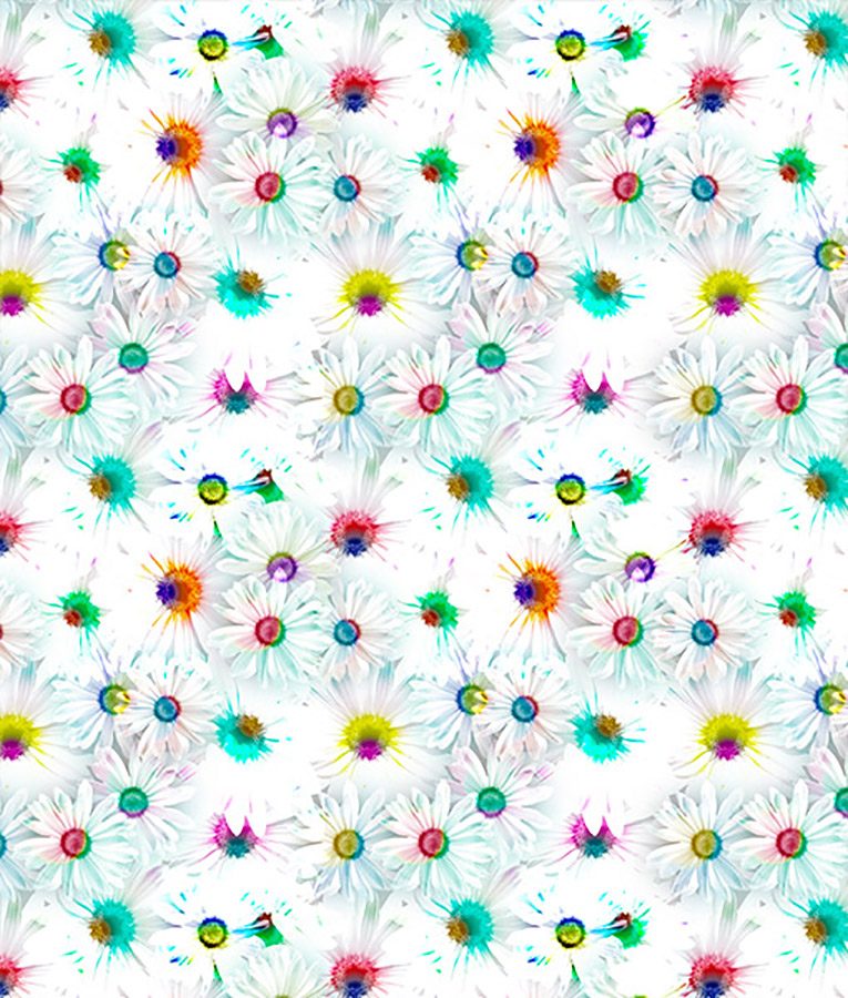 Summery - Image 3
