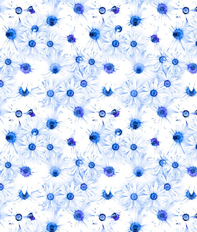 Summery - Image 4