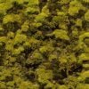 Bryophyta wall mural from HD Walls Biophilic Design Collection