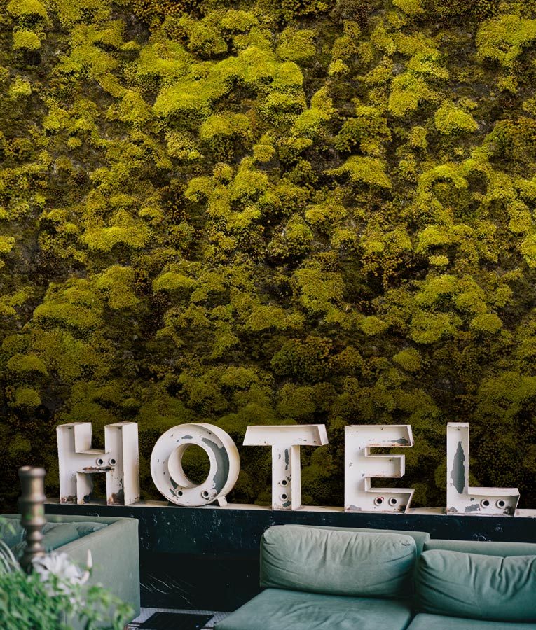 Bryophyta - Biophilic Design Wall Mural - Image 2