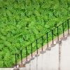 Elida wall mural from HD Walls Biophilic Design Collection