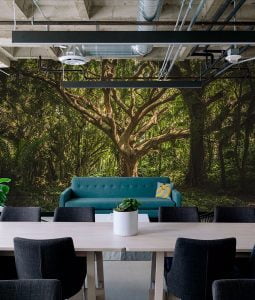FairyTale wall mural from HD Walls Biophilic Design Collection