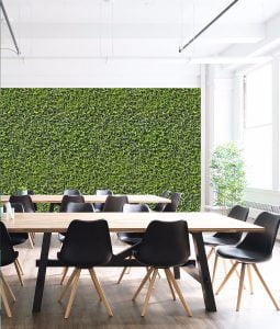 Grove wall mural from HD Walls Biophilic Design Collection
