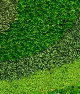 Helix wall mural from HD Walls Biophilic Design Collection