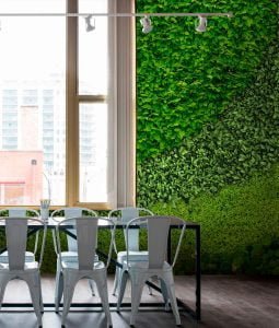 helix wall mural, a biophilic design with sustainable material