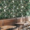 Pico wall mural from HD Walls Biophilic Design Collection