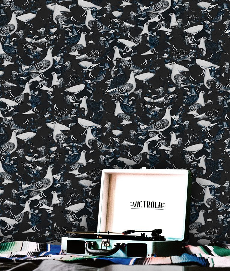 Rock Dove - Image 6