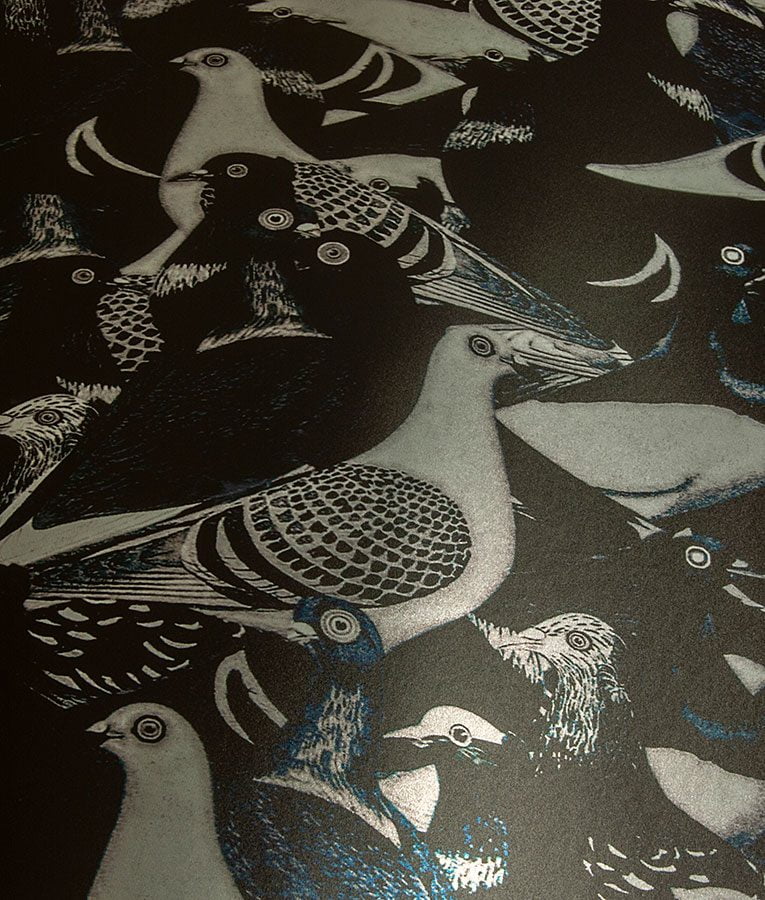 Rock Dove - Image 5